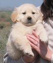 Jasmine @ 8wks