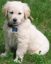 Jasmine @ 9 Wks