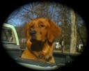 Maximus' Dad