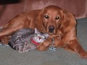 Chloe (retired) (& Winston)