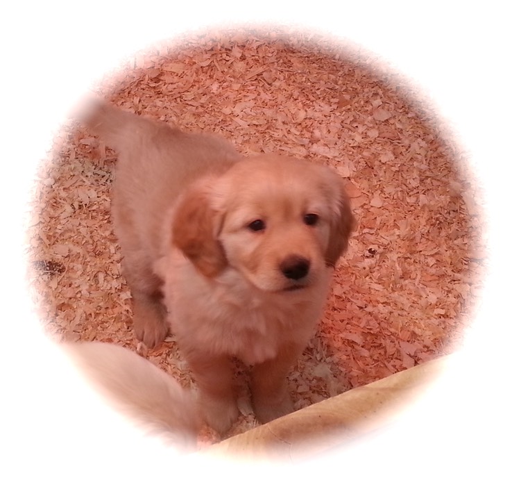 mm7 @ 6.5wks - 06