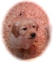 mm7 @ 6.5wks - 11