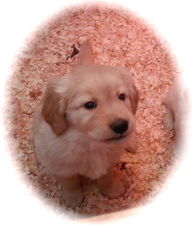 mm7 @ 6.5wks - 11
