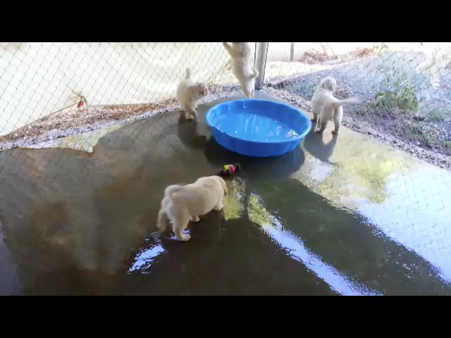 2014-06-21-150121