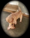 pm3@7wks - 04