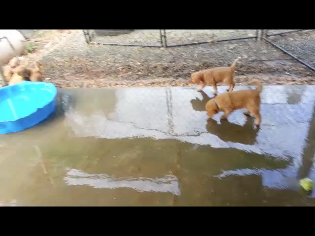 2015-01-10-183007