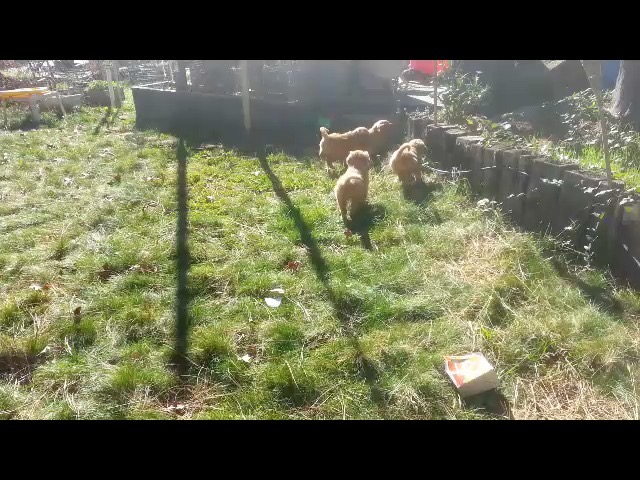 2015-01-25-201357
