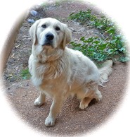 Tinker @ 10 months - 29