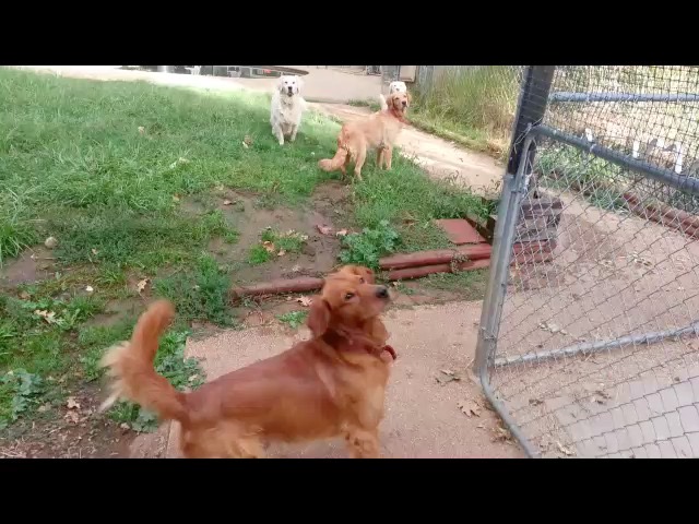 2015-08-29-145439