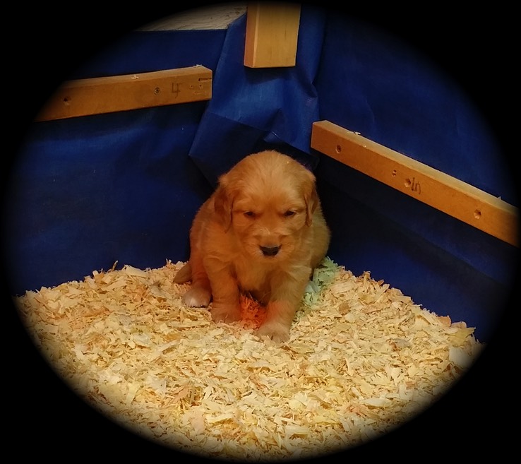 Who ... me?