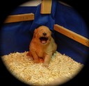 Okay, okay ... I was sittin' on a ball.