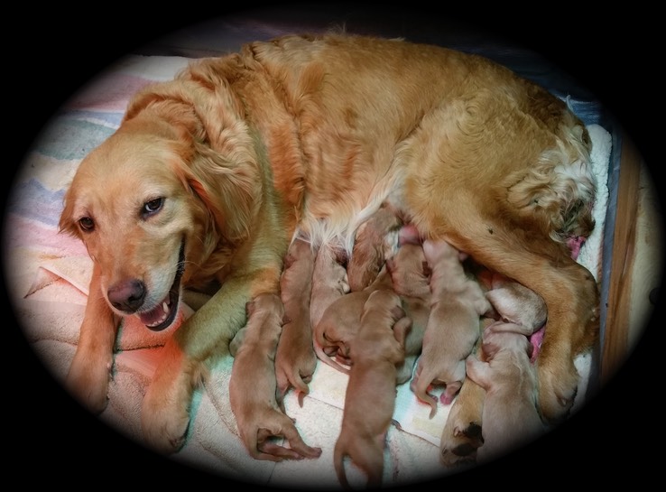 pm16 @ 0 wks - 2
