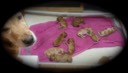 pm16 @ 1 wks - 2