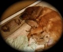 jm16 @ 0 wks-2