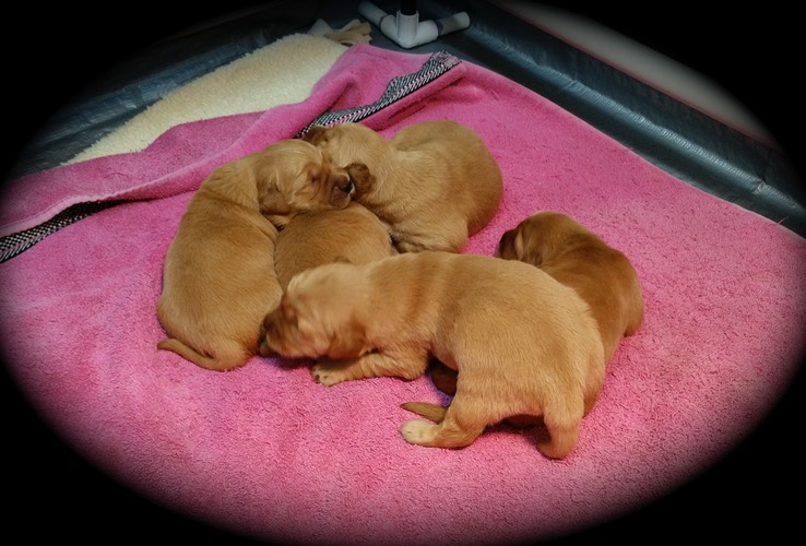 jm16 @ 2 wks-2