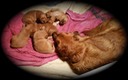 jm16 @ 3 wks - 2