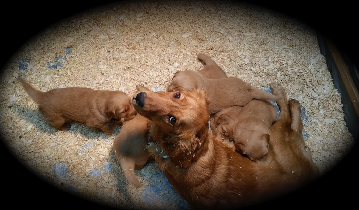 jm16 @ 4 wks - 4