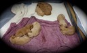 jm17 @ 2 wks - 1