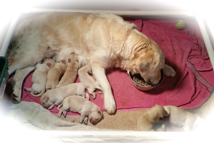 tm18 @ 1 week