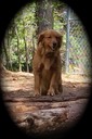 20180409_140017 copy