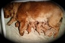 jm182 @ 0 wks-1