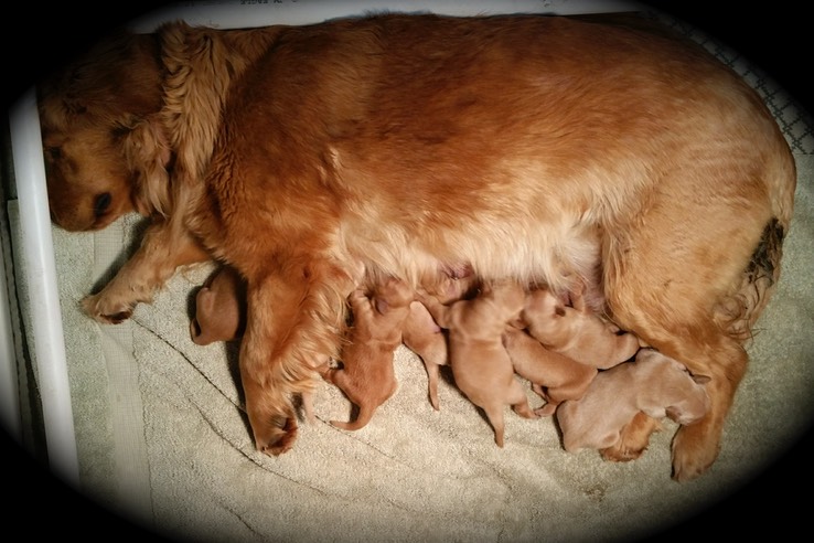 jm182 @ 0 wks-1