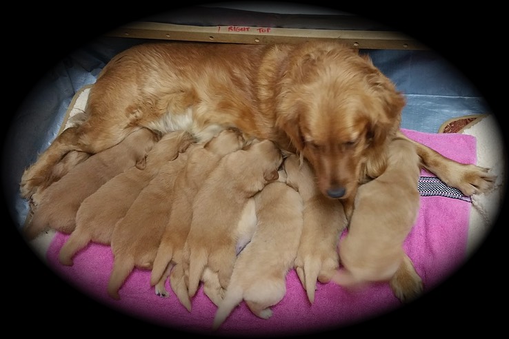 jm182 @ 3 wks