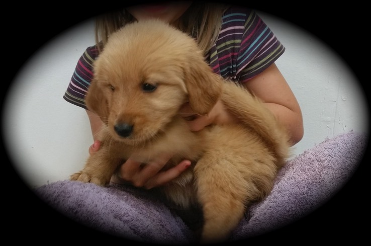 jm182 f orange @ 6.5 wks - 29