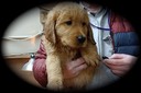jm19 @ 8 wks PURPLE M - 05