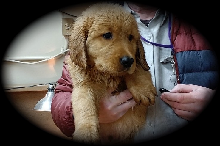 jm19 @ 8 wks PURPLE M - 05