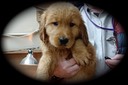 jm19 @ 8 wks PURPLE M - 06