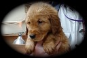 jm19 @ 8 wks ORANGE M - 10