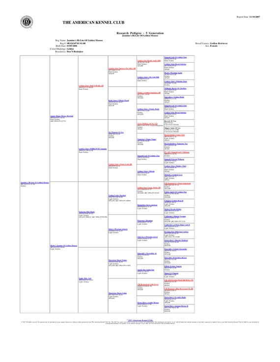 AKC Hi-Lite Pedigree