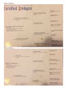 Alabama Parents Pedigree