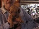 Chloe - our 1st mom