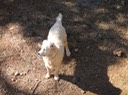 DSC01406_2