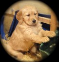 CR7 @ 6 Weeks