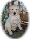 wr2 last female @ 7wks - 1