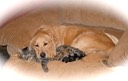 Jasmin & Winston