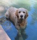 Rufus at their "private" spa