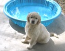 Swimsuit model
