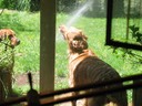 Thirsty?