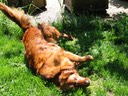 .... ahhhh .... itchy-scratchy!