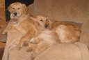 Misty & Jasmin
