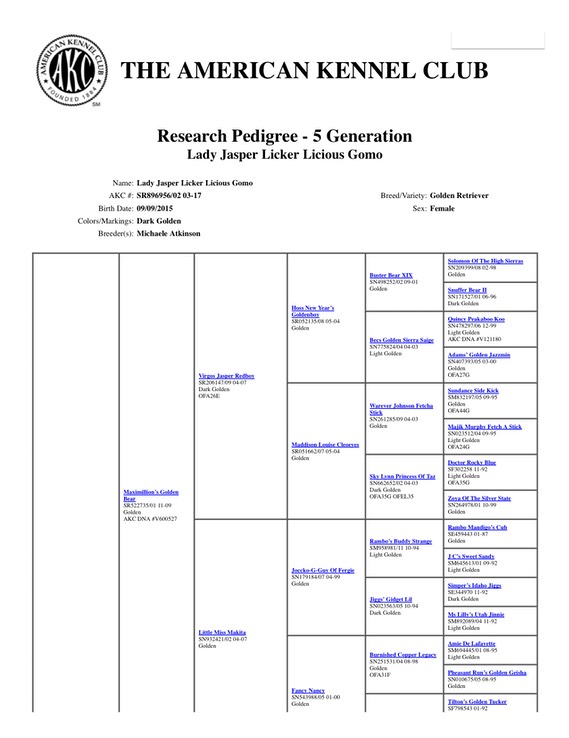 Jasper AKC 5-gen pedigree-A