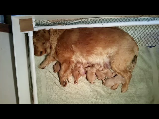 jm18--0-wks