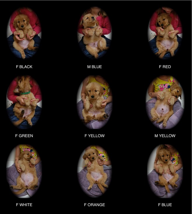 jm182 @ 7 wks Individ