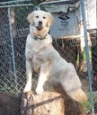 05 masha