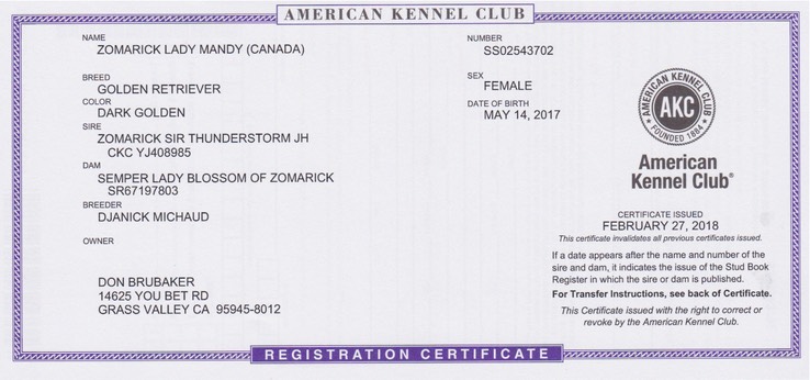 Mattie O'Hare AKC Certificate