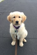 Mojo 3 months